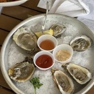 Fresh oysters
