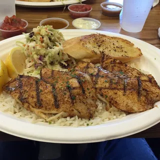 Tilapia