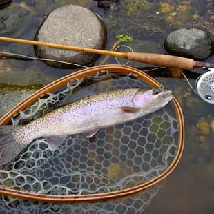 Alpenglowflyrods.com
Leo just sold one of my split cane rods, I just deliverd another for sale. Its a sweet 4 piece traveler!