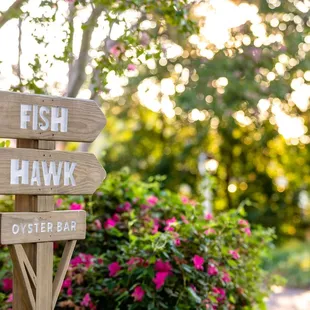 Fish Hawk at the Tides Inn