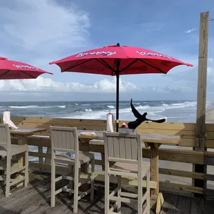 View from our table on the pier. Yes that's a bird flying away!