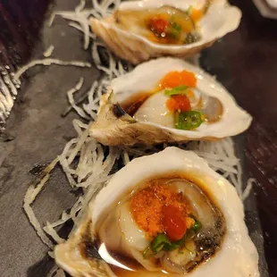 Oysters!