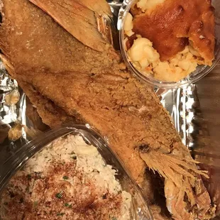 Red Snapper