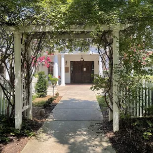 ramen and noodles, outside