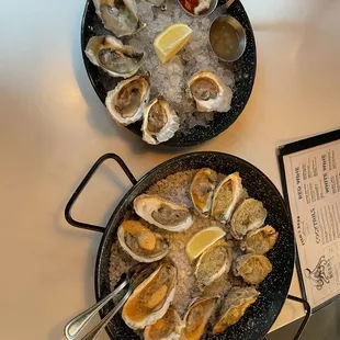 Happy hour oysters