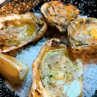 Grilled Oysters