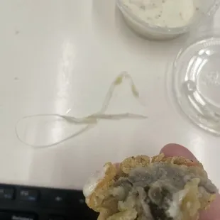 oyster that had the plastic in it