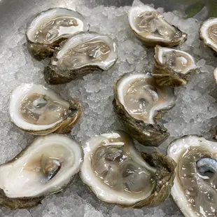 mussels, oysters, shellfish, food, oysters and mussels