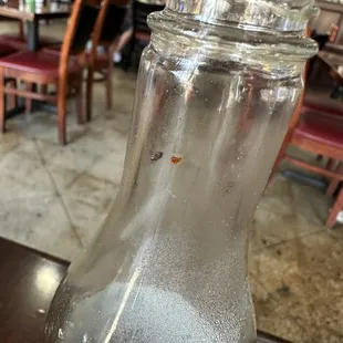 Living Fruit Fly in the Malt Vinegar