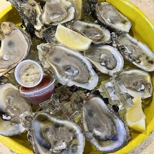 12 Raw Oysters