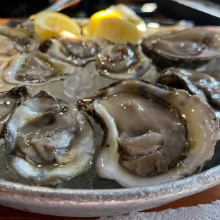 Oyster.