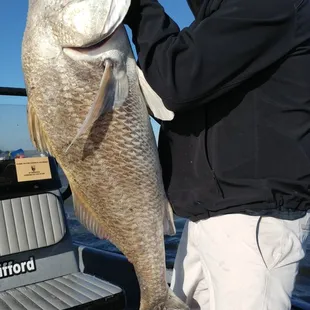 Big Drum