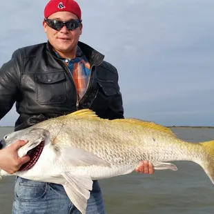 A Big Bull Drum.