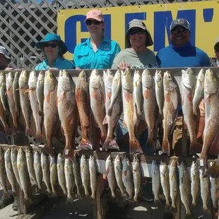 Limits of Trout and Redfish. Number One Guide Service in Corpus Christi. NO/Fish NO/Pay