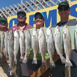 Limits of Trout