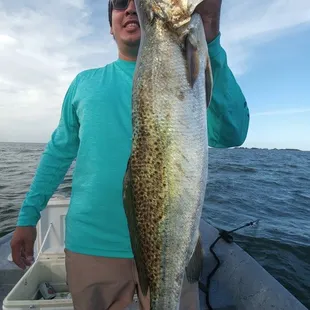 Big Trout