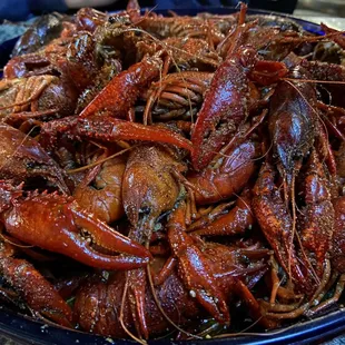Had to come and give an update- same great food!!! No where better to be during crawfish season.
