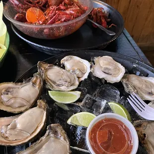 Oysters on the Half Shell