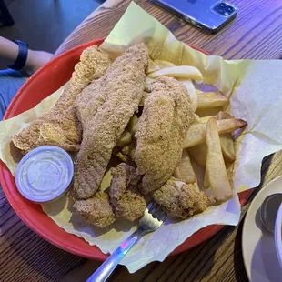 Catfish Fillet