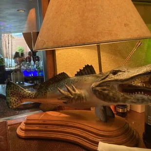 Gator fish lamp at the bar.
