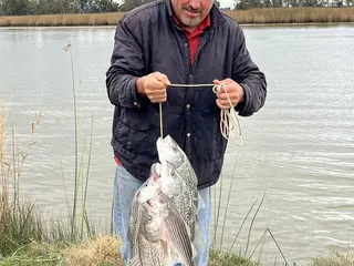 Marina Bait and Tackle