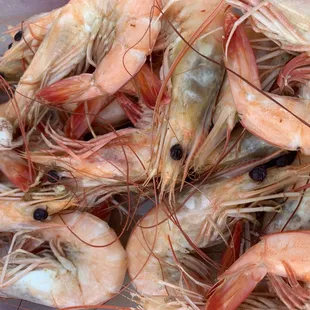large shrimp