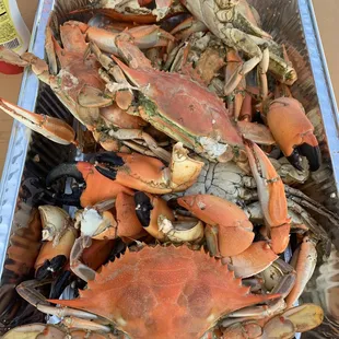 a tray of crabs