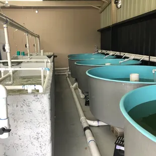 Bait Tanks