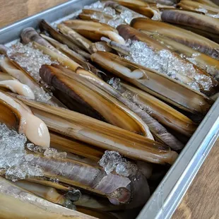 Razor Clams