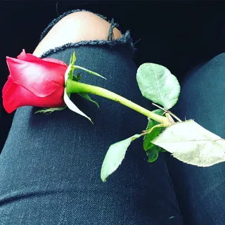 Anika C.