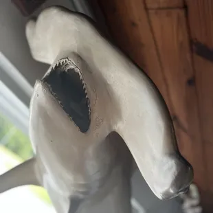Shark