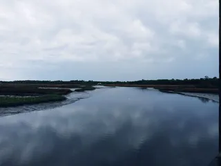 Dutton Island Preserve