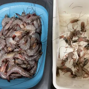 a bowl of shrimp and a bowl of shrimp