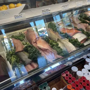 Fish