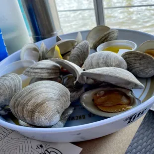 oysters and mussels, food