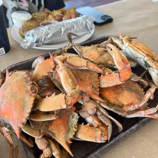 Blue Crabs