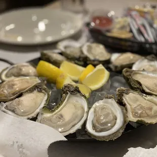 Oysters
