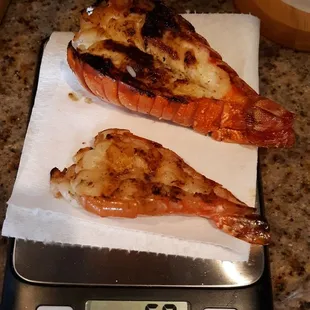 Lobster Tail