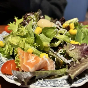 First course of salmon and scallop sashimi with spring salad mix