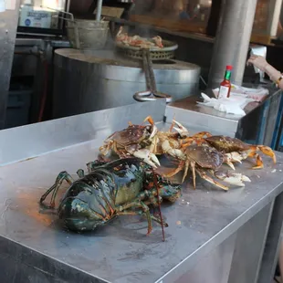 right out in the open to choose?