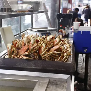 Dungeness crabs