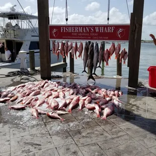 Fisherman's Wharf Catch