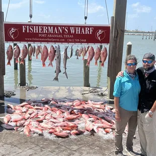 Mess of snappers and baby shark do doo