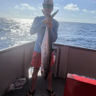 Kingfish