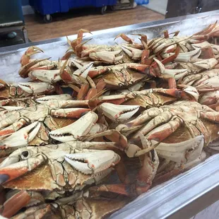 Must have Dungeness crab!