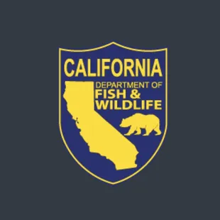 Get a fishing license