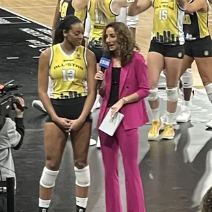 Professional Volleyball Federation on CBS Sports.