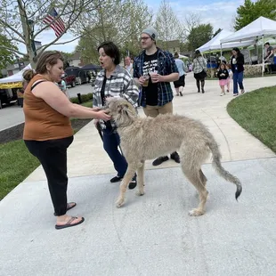 Biggest dog I saw on the inaugural day of Fishers Farmer Market season.
