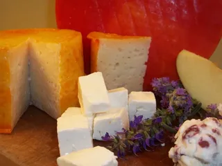 Doe's and Diva's of Honey Creek