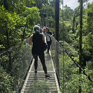 Hanging bridges. I think there were 9.